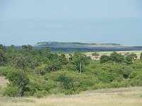 Out of Africa
